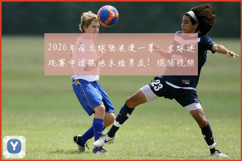 2026年荷兰球场浪漫一幕：女球迷观赛中途跪地求婚男友！现场视频引爆网络，绿茵场成爱情见证地