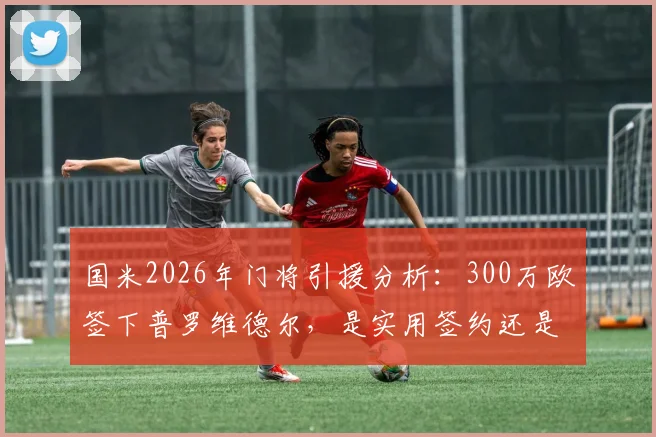 国米2026年门将引援分析:300万欧签下普罗维德尔,是实用签约还是神来之笔?